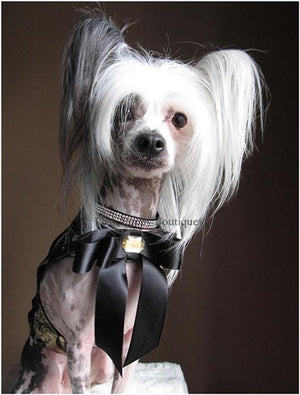 Couture Baroque Dog Harness Vest - Posh Puppy Boutique
