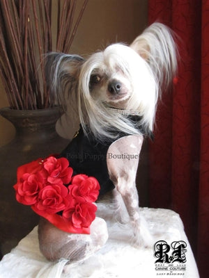 Couture Flamenco Rose Dog Harness Dress - Posh Puppy Boutique