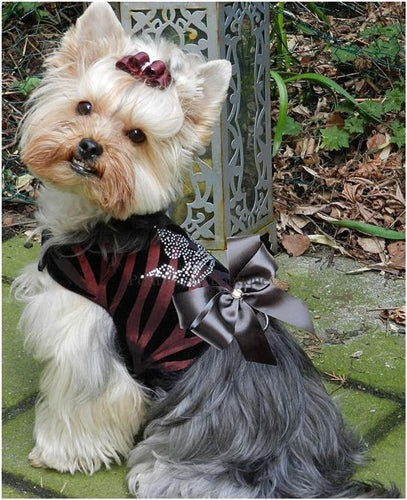 Couture Majestic Crown Dog Harness Vest