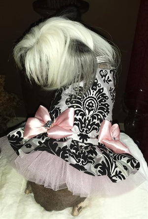 Couture Black Swan Dog Harness Dress - Posh Puppy Boutique