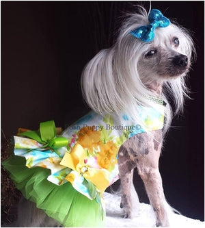 Couture Water Colors Dog Harness Dress - Posh Puppy Boutique