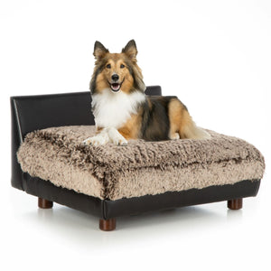 Club Nine Pets Roma Orthopedic Dog Bed in Brown