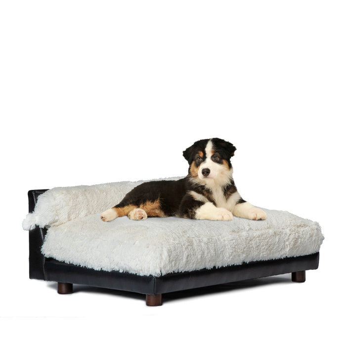 Club Nine Pets Roma Orthopedic Dog Bed in Ivory
