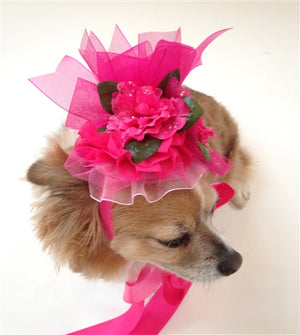 The Azaleas are in Bloom Hat - Posh Puppy Boutique