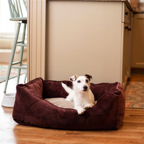 Home & Go Luxury 2-in-1 Dog Bed- In Many Colors