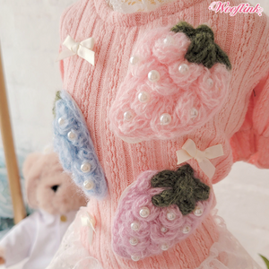 Wooflink Strawberry Mini Dress