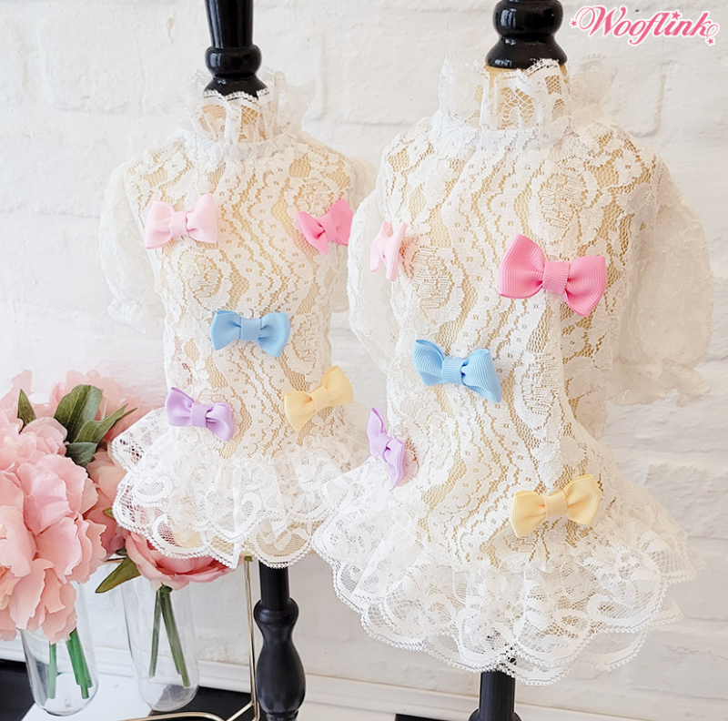birthday party dresses short tight Lace-Up Back Short Sexy Homecoming Dress main image 1