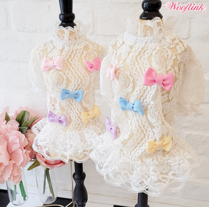 Wooflink Sweet Babe Dress - Posh Puppy Boutique Wooflink Sweet Babe Dress - Posh Puppy Boutique
