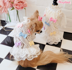 Wooflink Sweet Babe Dress Posh Puppy Boutique Wooflink Sweet Babe Dress Posh Puppy Boutique