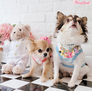 Wooflink BB Loves Cupcake Top - Watermelon Posh Puppy Boutique Wooflink BB Loves Cupcake Top - Watermelon Posh Puppy Boutique