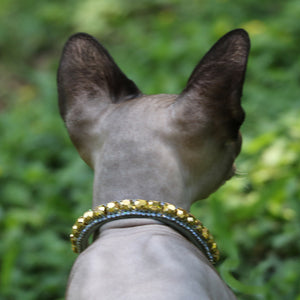 Inner Harmony Pet Collar - Solar Plexus Inspired
