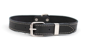 Black Traditional Buckle Leather Collar