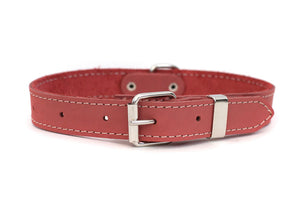 Coral Traditional Buckle Leather Collar