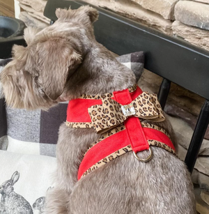 Susan Lanci Two Tone Big Bow Tinkie Harness in Red with Cheetah Trim