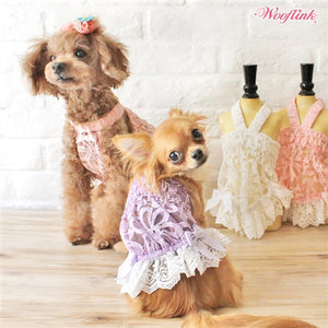 Wooflink Summer Pastel - Pink - Posh Puppy Boutique