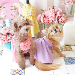 Wooflink Chasing The Sun - Yellow - Posh Puppy Boutique