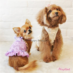 Wooflink Hello Sunshine Mini Dress- Purple - Posh Puppy Boutique