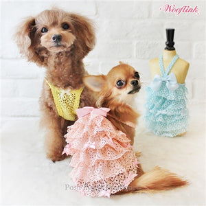 Wooflink SUGARLICIOUS Dress- Blue - Posh Puppy Boutique