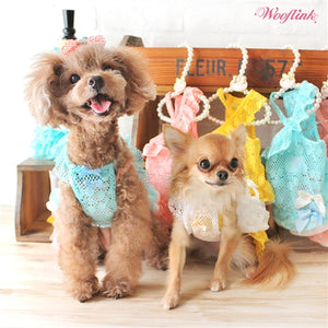 Wooflink My Summer Style Dress - Blue - Posh Puppy Boutique