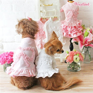 Wooflink Look At My Bow in Pink - Posh Puppy Boutique