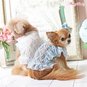 Perfect Spring Blouse in White - Posh Puppy Boutique