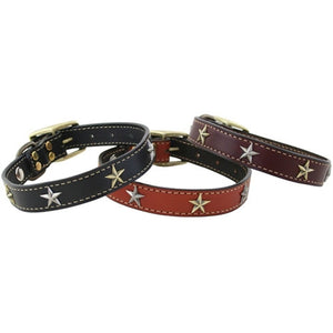 Heirloom Old Glory Collars - Many Colors - Posh Puppy Boutique