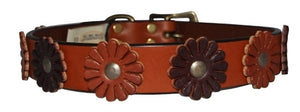 Flower Collection Collar - Tan - Posh Puppy Boutique