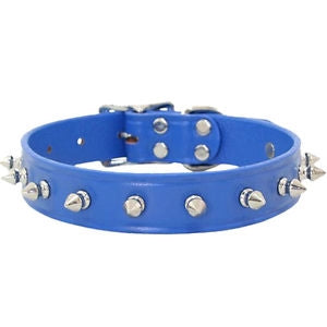 Spiked Leather Collar with 1 Row of Spikes - Royal