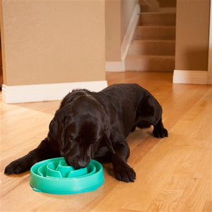 Slow Feeder - Large Drop- Teal - Posh Puppy Boutique