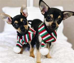 Holiday Scarf - Posh Puppy Boutique