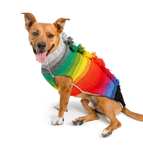 Rainbow Mohawk Dog Sweater