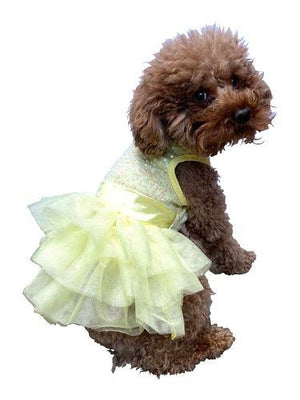 Zsa Zsa Tutu Dress in Lemon Yellow - Posh Puppy Boutique