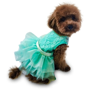 Seafoam Irredescent Lace Fufu Tutu Dress - Posh Puppy Boutique