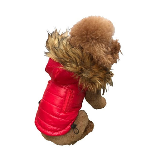 Ski Bunny Puffer Coat - Red