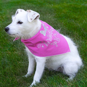 Happy Birthday Girl! Pink Polka Dot Dog Bandana - Posh Puppy Boutique