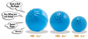 Interactive Sounds Babble Ball- Teal - Posh Puppy Boutique