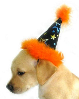 Halloween Hat Costume - Posh Puppy Boutique