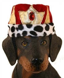 King Hat - Posh Puppy Boutique