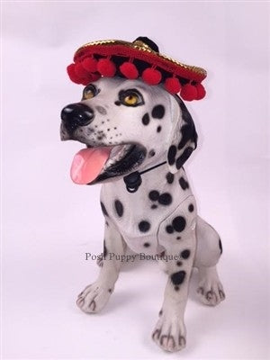 Sombrero Hats With Pom Pom - Posh Puppy Boutique