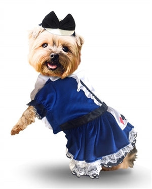 Alice Dress Dog Costume - Posh Puppy Boutique