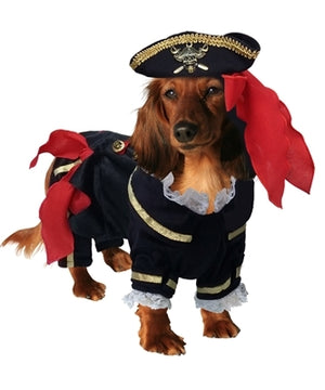 Buccaneer Pirate Costume - Posh Puppy Boutique