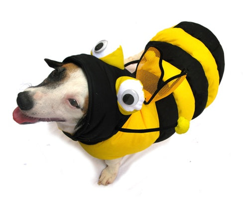 Bee 3-D Costume