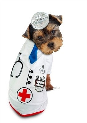 Doctor Barker Costume - Posh Puppy Boutique