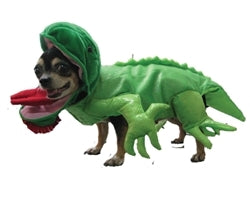 Iguana Costume - As Seen in TIME Magazine
