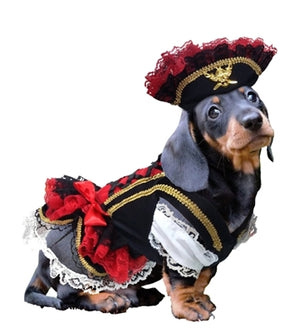 Swashbuckler Pirate Costume - Posh Puppy Boutique