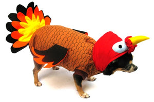 Turkey Costume - Posh Puppy Boutique