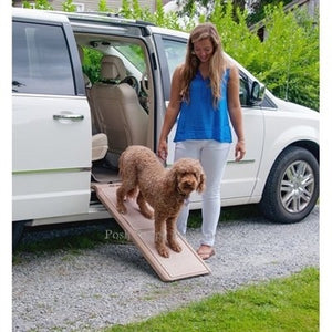 Short Bi-Fold Pet Ramp Carpeted - Posh Puppy Boutique