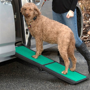 Bi-fold Travel Lite Pet Ramp With SupertraX in Black-Green - Posh Puppy Boutique