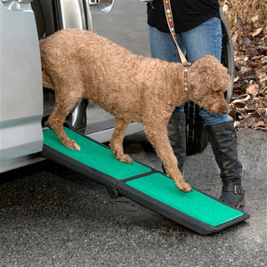 Bi-fold Travel Lite Pet Ramp With SupertraX in Black-Green - Posh Puppy Boutique