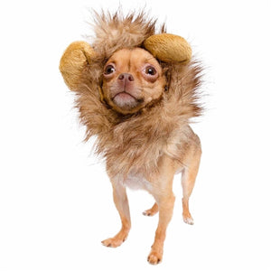 Lion Mane Costume for Small Dogs